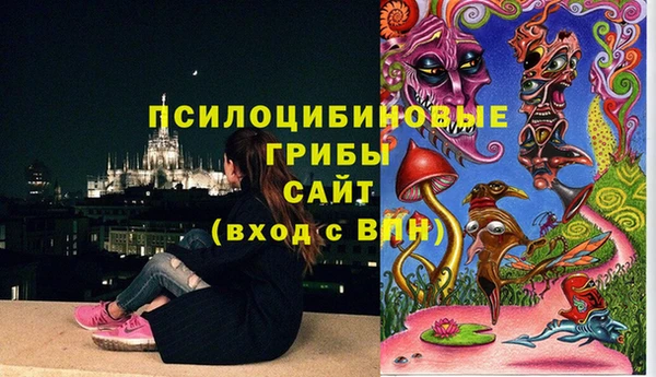 мдпв Абдулино